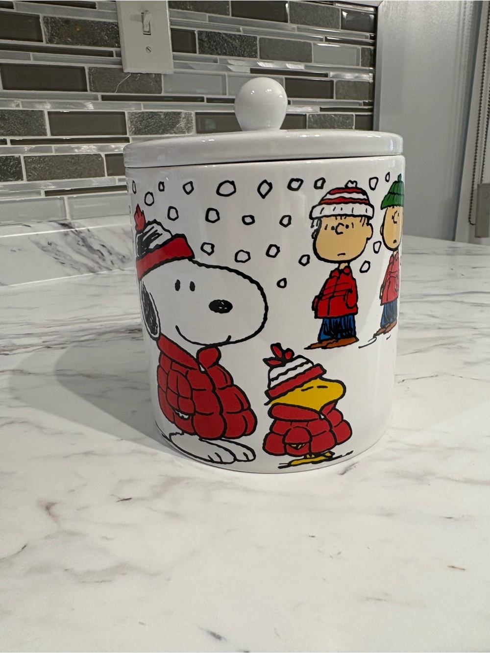 Peanuts Snoopy Charlie Brown Cookie Jar Zrike Brands canister